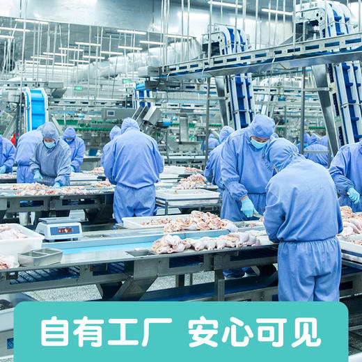 【优形】全程可溯源控抗就是嫩鸡排400g量贩装 商品图1