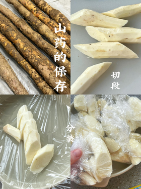 【生活小窍门】铁棍山药锁鲜半年不变质的㊙️诀