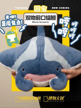 天哪！是魔鬼鱼！