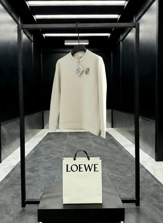 F022701胸前刺绣logo两色情侣款圆领卫衣 商品图9