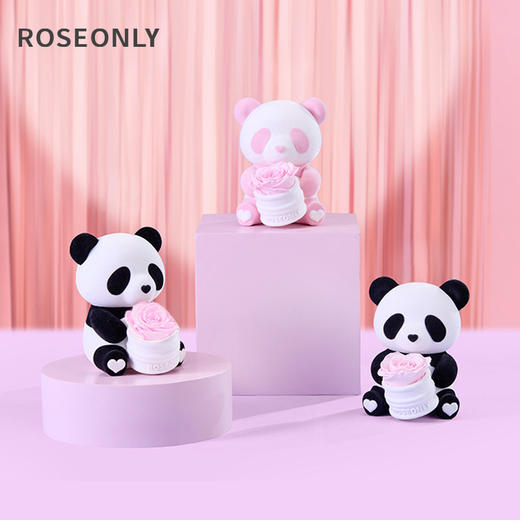 【告白神器】ROSEONLY诺誓 永生玫瑰 公仔系列 爱妮熊猫 粉色 红色 粉白色 送朋友 情人节礼物 商品图0