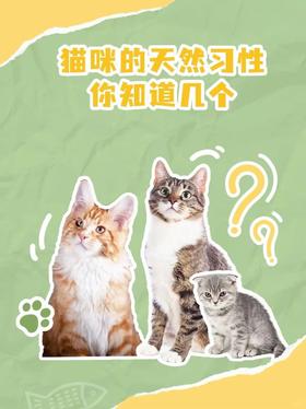 猫咪的天然习性你知道几个？