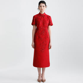 戴布拉芬连衣裙L29B528