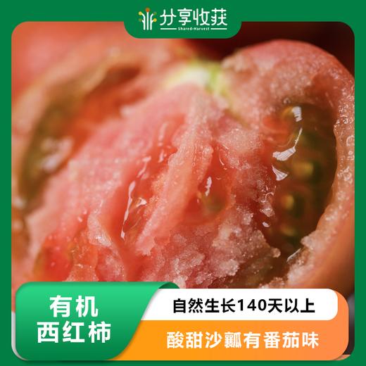 有机西红柿（瑞粉） | Organic-tomato 商品图0