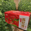 【新鲜普罗旺斯西红柿🍅】经典中的经典，自然熟🌿，皮薄沙瓤😋，番茄味儿浓郁，水分多💦，沙沙糯糯，低卡减肥果。 商品缩略图9