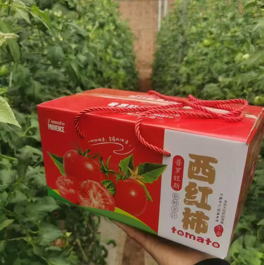 【新鲜普罗旺斯西红柿🍅】经典中的经典，自然熟🌿，皮薄沙瓤😋，番茄味儿浓郁，水分多💦，沙沙糯糯，低卡减肥果。 商品图9