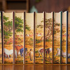 《中国大历史》精装珍藏刷边版（全10册），史学绝唱，力能扛鼎！四位史学泰斗，讲透中华5000年大历史！【G】 商品缩略图3