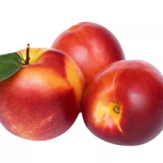 桃驳李（约500G） /份 商品图0