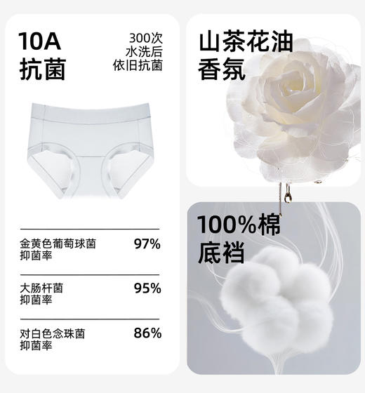7天左右发【加长底档A类山茶花基础内裤】40S高支数，10A抗菌，除臭防螨--MM 商品图2