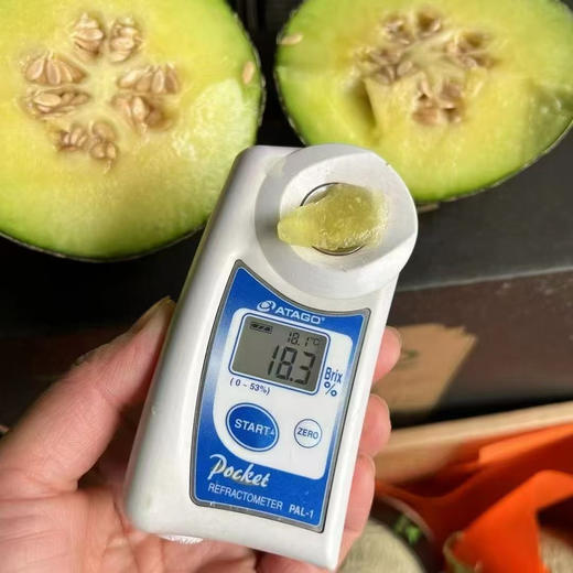 海南网纹玫珑蜜瓜 商品图4