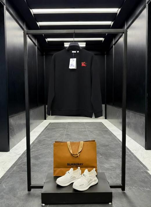 F022774胸前战马植绒刺绣logo情侣款圆领卫衣 商品图0