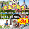 【海淀·3月21日-4月12日】半日营·春生万物季！敲有氧鼓唤醒土地、手作雷声器模拟惊蛰、挂果壳风铃召唤燕子、揉青团留住清明——三个节气，四件“带得走”的春天 商品缩略图0