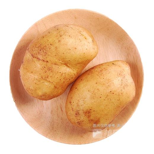 土豆 约650g/份 商品图1