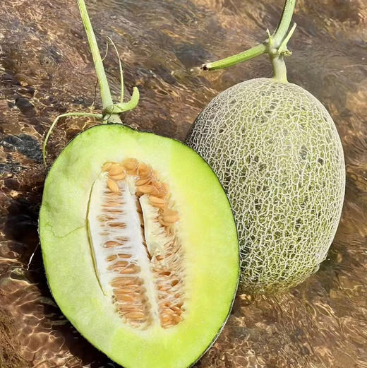 青雨哈密瓜🍈
不同于寻常，它的外表翠绿欲滴，内里则是细腻如丝、甜度恰到好处的果肉，等待着为您的味蕾带来前所未有的清新体验。 商品图0