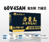 【双十一美点特惠】60V45Ah  金太阳力量王  以旧换新 武汉到店 商品缩略图0