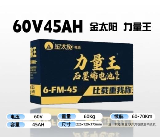 【双十一美点特惠】60V45Ah  金太阳力量王  以旧换新 武汉到店 商品图0