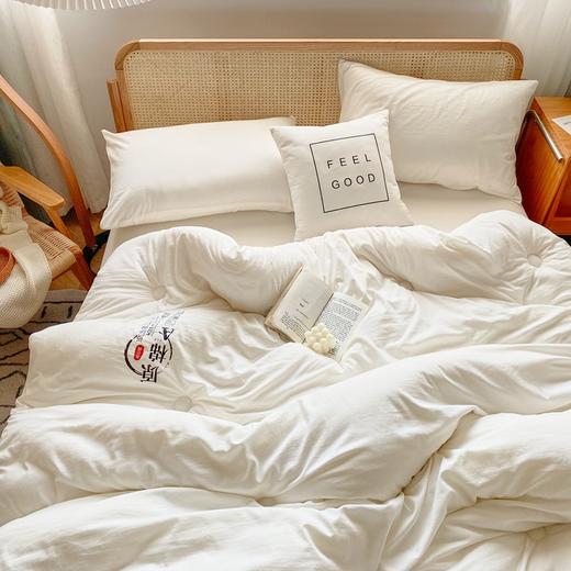 大豆纤维速暖大豆被、A类yi菌秋冬被芯、冬季厚被子、超柔云端手感·软糯贴身 商品图1