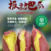 【海南澄迈产地直发·桥头富硒地瓜】来自长寿之乡澄迈的秘密，天然孕育极品地瓜。分糯口感～绵软香甜 商品缩略图12