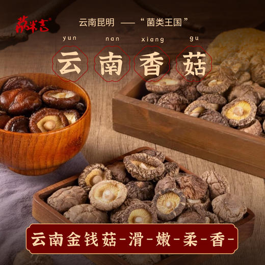 香菇（金钱菇）250g/袋 商品图0
