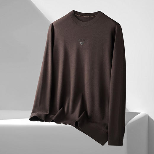 【DDS】大依优型大码男装春季休闲针织毛衫商务百搭圆领长袖T恤毛衣 商品图3