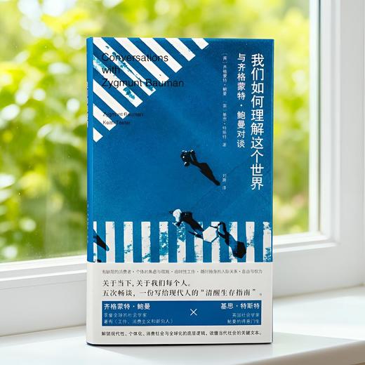 鲍曼访谈3册：我们如何理解这个世界+自我+将熟悉变为陌生 商品图1