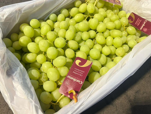 澳洲🦘甜地球无籽青提，看名字就知道它的口感啦，特别的脆甜。特别新鲜，卡兹脆甜太好吃了 商品图8