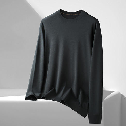 【DDS】大依优型大码男装春季休闲针织毛衫商务百搭圆领长袖T恤毛衣 商品图1