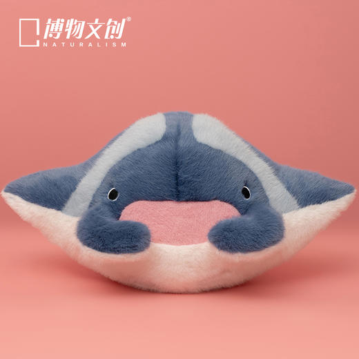 博物文创 大圆宝 双吻前口蝠鲼 海洋动物 新年元旦生日礼物 商品图0