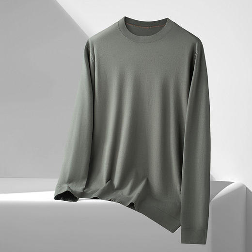 【DDS】大依优型大码男装春季休闲针织毛衫商务百搭圆领长袖T恤毛衣 商品图2