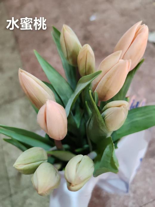 国产水蜜桃郁金香10支 商品图7