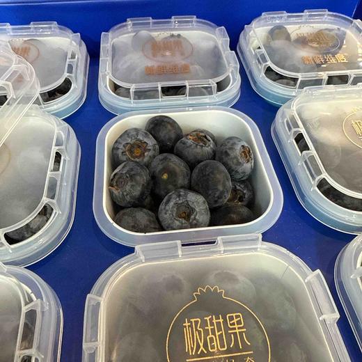 极甜果蓝莓22mm+礼盒装（9杯） 商品图1