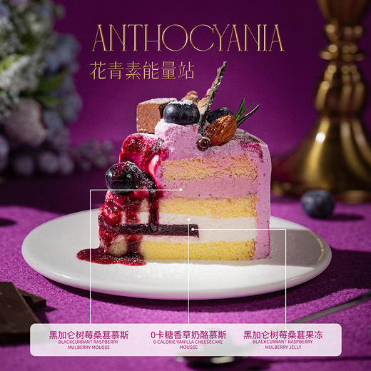四重莓果·熔岩黑巧蓝莓蛋糕| FALANC CAKE 商品图2