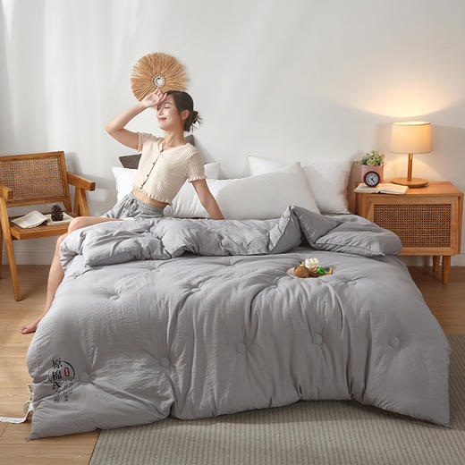 大豆纤维速暖大豆被、A类yi菌秋冬被芯、冬季厚被子、超柔云端手感·软糯贴身 商品图7