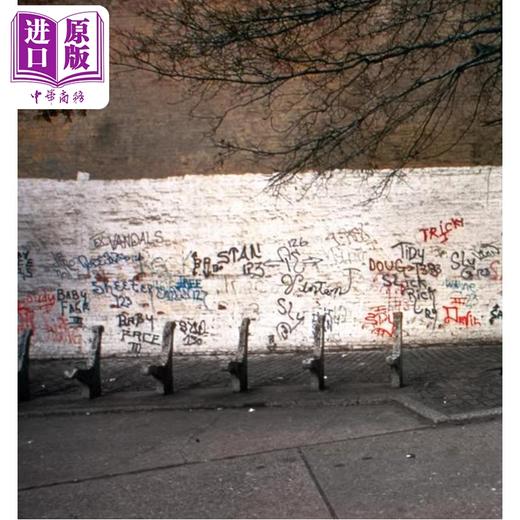 预售 【中商原版】Art in the Streets 进口艺术 街头艺术 Rizzoli 商品图1