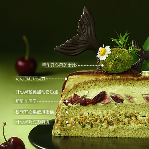 【双鱼座】车厘子开心果巧克力| 旋木烘焙 | 旋木烘焙 商品图5