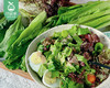 享通绿色沙拉生菜组合（300g±30g/包） 商品缩略图3
