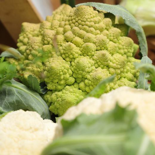 自选生态蔬菜箱（农场直发-顺丰快递）| 多种规格，来自成都郫都区【原乡农场，自产自销】 商品图8