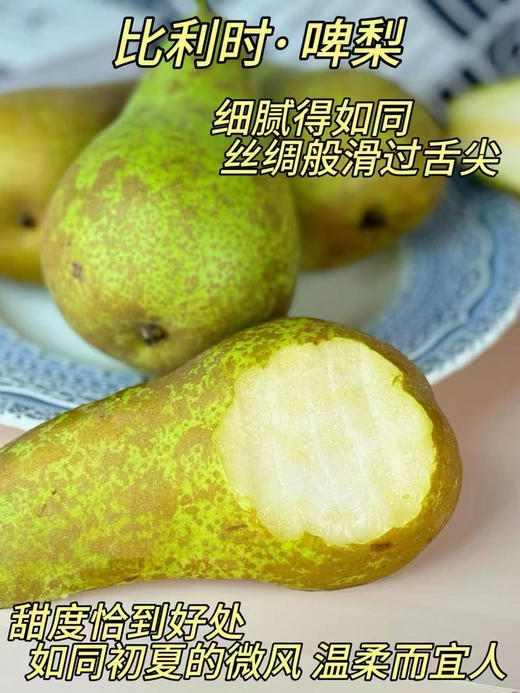 比利时进口啤梨 商品图4