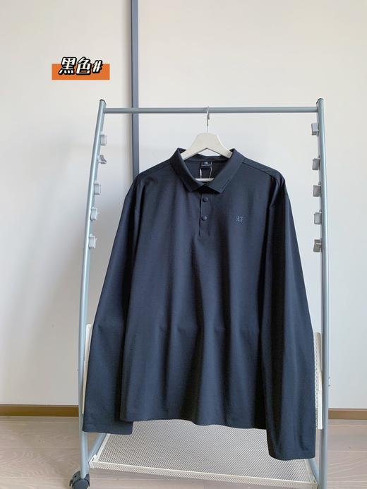 点此购买 可隆春秋季男士商务休闲长袖POLO衫 bk 340952 商品图1