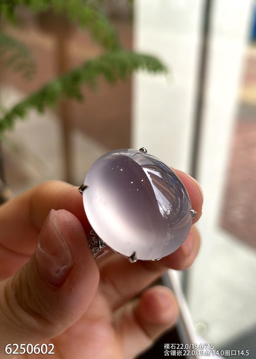 紫罗兰蛋面戒指【6250602】具体价格微信咨询 商品图2