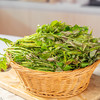 陕西高山香椿芽  2026头茬·顺丰包邮 商品缩略图3