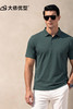 【醋酸纤维】【DG】大依优型大码男装夏季醋酸纤维POLO衫短袖凉感商务休闲百搭T恤300斤 商品缩略图5