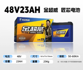 【双十一美点特惠】48V23AH 金超威匠心电池 武汉到店