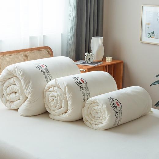 大豆纤维速暖大豆被、A类yi菌秋冬被芯、冬季厚被子、超柔云端手感·软糯贴身 商品图3