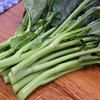 东升农场 供港板蓝根油菜苔 300g 商品缩略图4