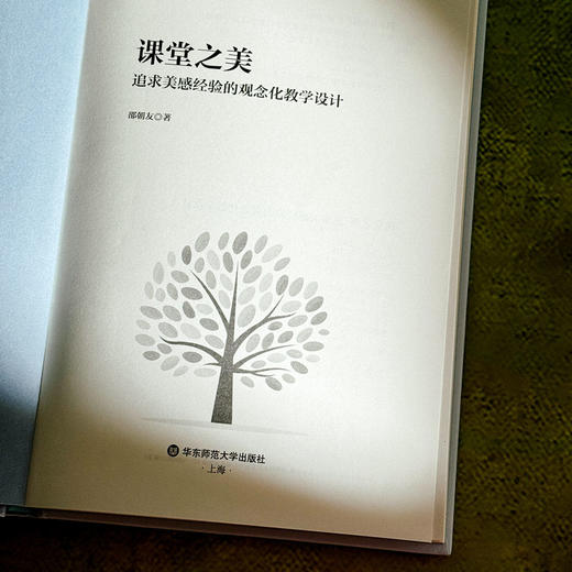 课堂之美 追求美感经验的观念化教学设计 邵朝友 新时代学校美育 商品图5