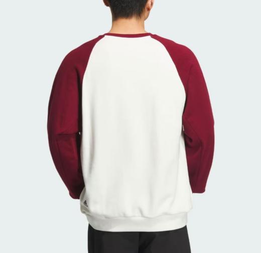 阿迪达斯 179.9元 运动套头卫衣 (线上线下同时在售不保证有货,活动款不退不换介意勿拍) 553811-QS 商品图1