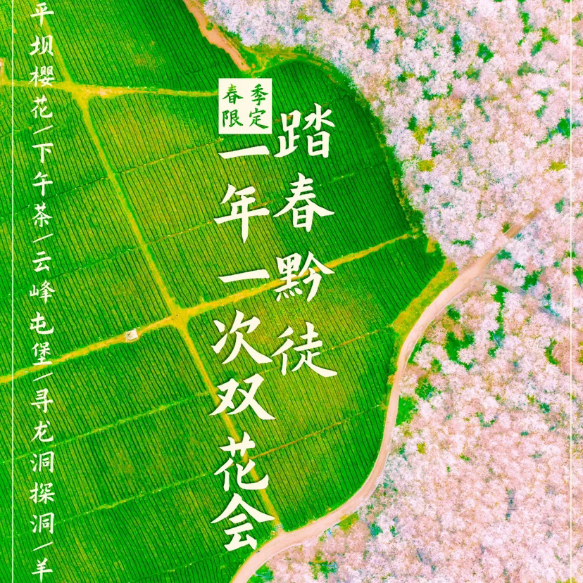 贵州｜3.14-3.18春季限定一年一度赏樱花5天4晚，更多排期：3.21-3.25，3.28-4.1，樱花下午茶、云峰屯堡、寻龙洞、羊皮洞，踏春黔徒精致小团
