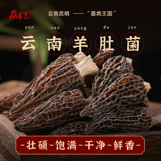 羊肚菌60g/袋 商品图0