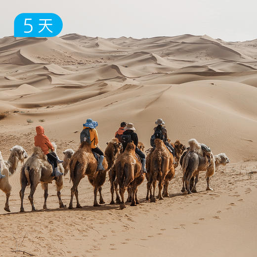 腾格里沙漠｜ 此生必徒 国内十大经典路线之一 5日 商品图7